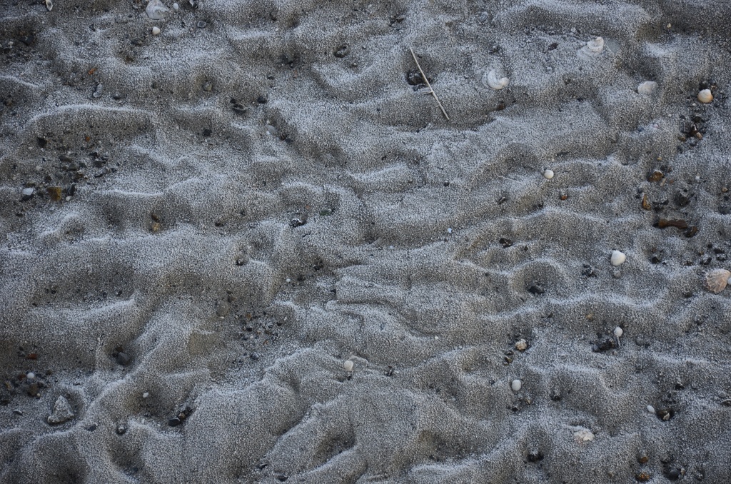 2016-12 France/Mont St Michel/DSC_0010.JPG